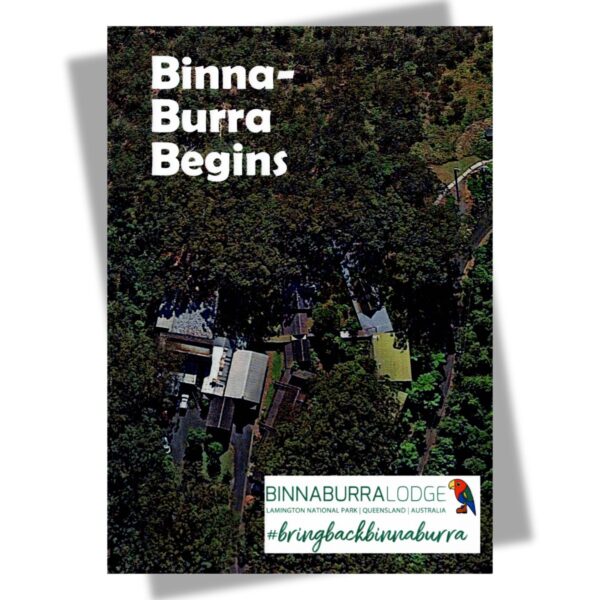 Binna Burra Begins