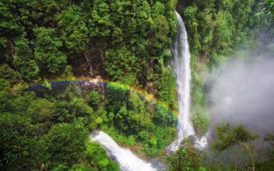 Welcome Support For Queensland’s National Parks