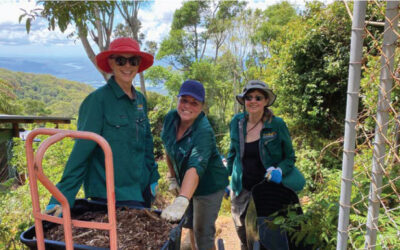 Better Together – The Volunteer Spirit at Binna Burra