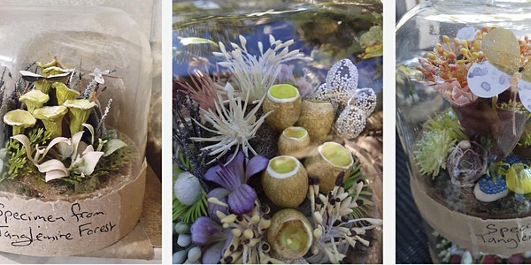 Make Your Own Secret Garden – Create a one-of-a-kind miniature model Make Your Own Secret Garden - Create a one-of-a-kind miniature model
