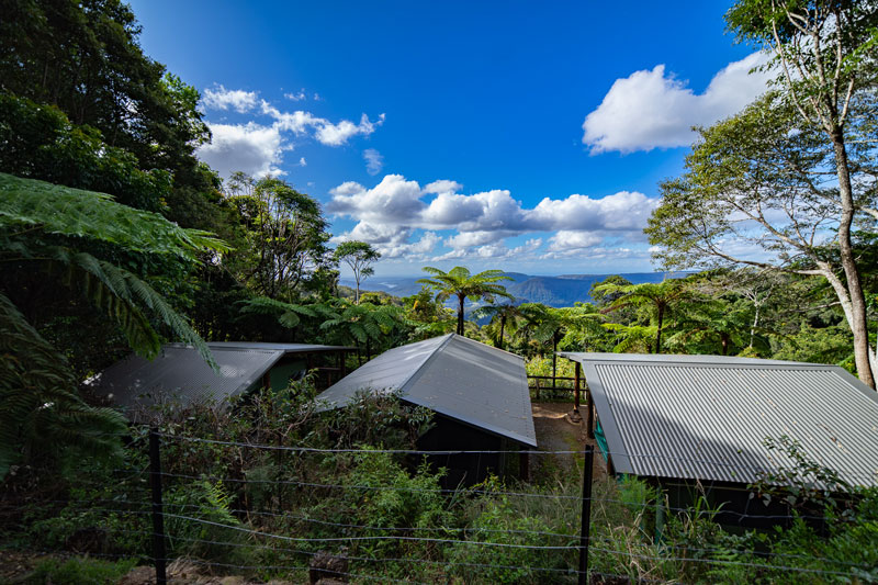 Standard Safari Tent View