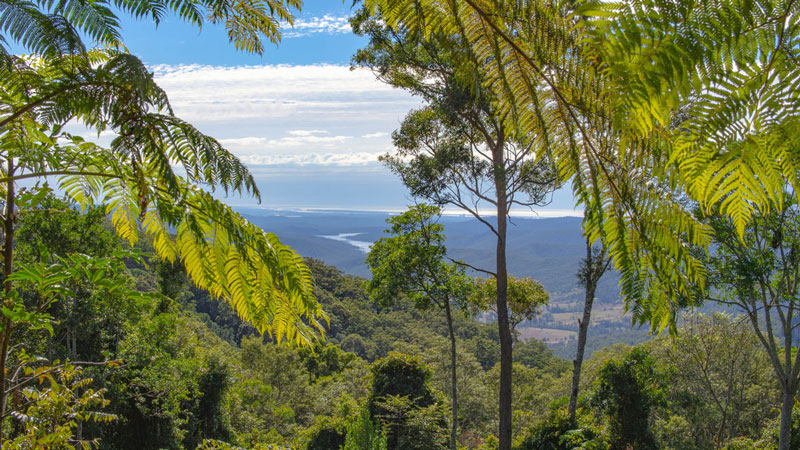 safari tent camping qld