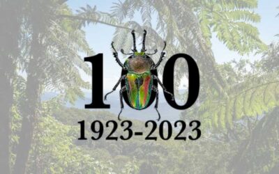 Small In Scale But Huge In Consequence – Acknowledging A Century For The Entomological Society Of Queensland