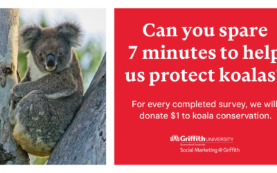 Binna Burra supports South East Queensland Koala Survey