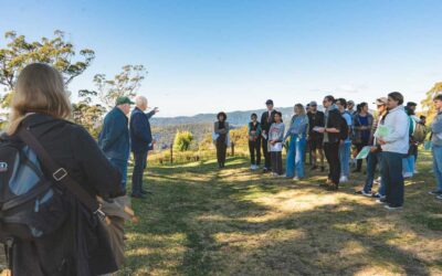 Binna Burra Lodge Sustains Collaborative Tradition: Griffith University Architecture Students Excel on Third-Year Field Trip