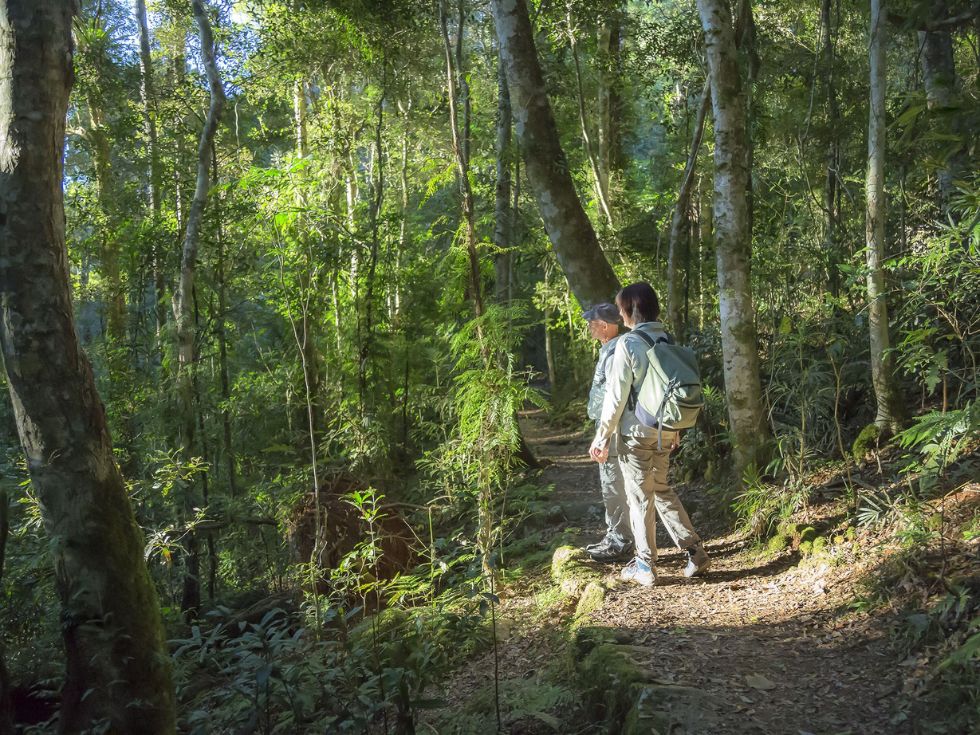 Coomera Circuit - Aussie Bushwalking