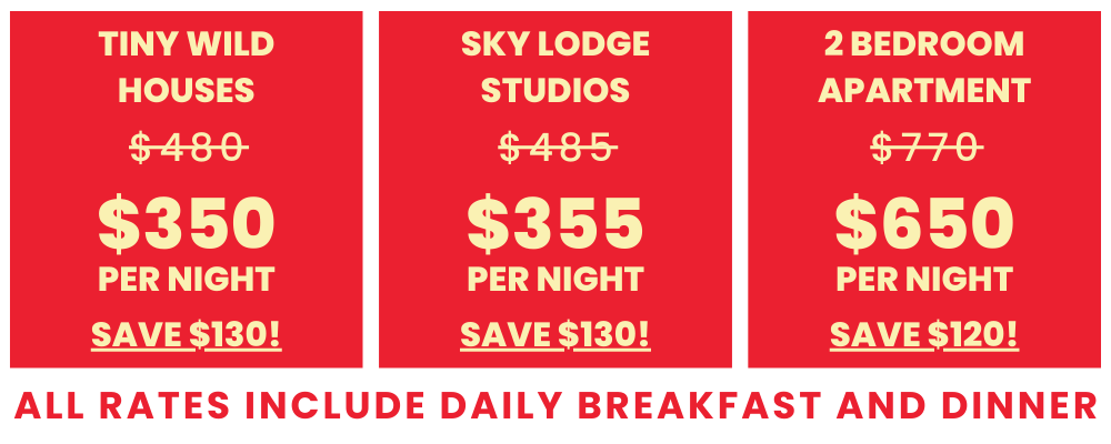 summer sale savings grid - 2