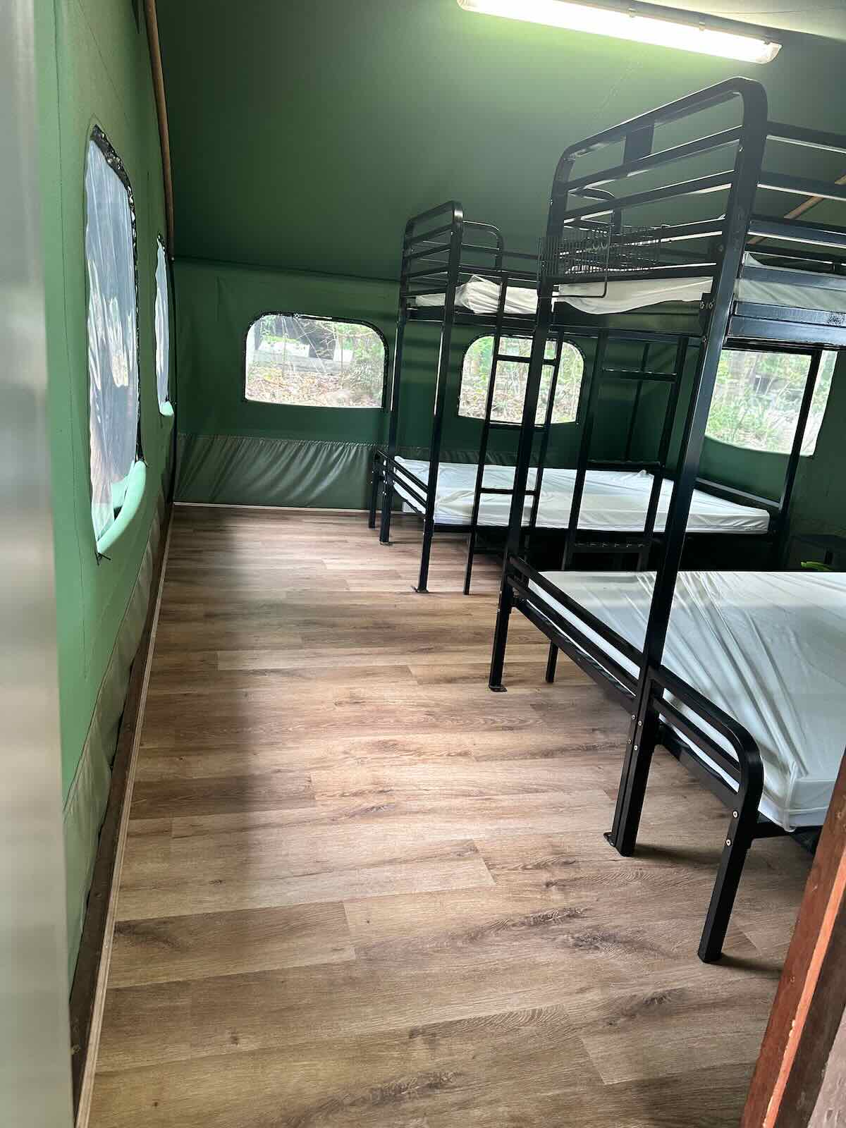 Bunks in the refurbished Safari Tents at Binna Burra Lodge Campsite