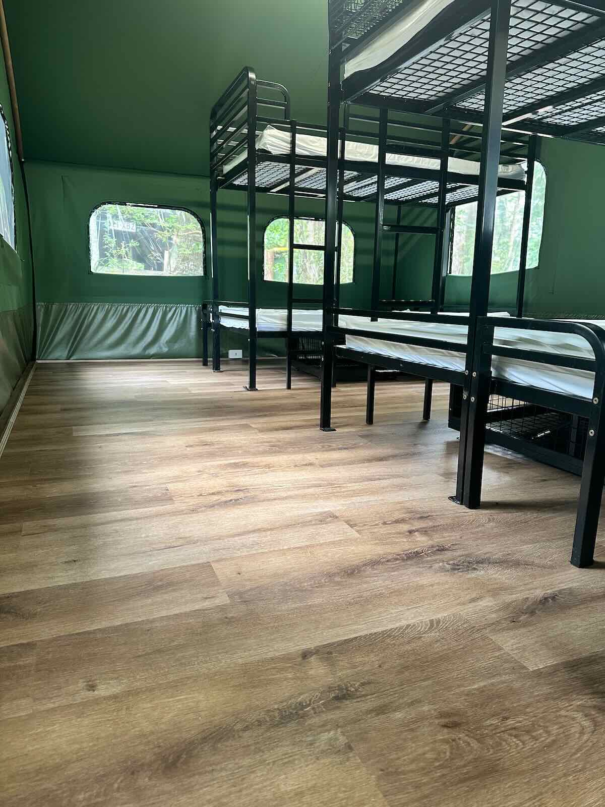 Bunks in the refurbished Safari Tents at Binna Burra Lodge Campsite