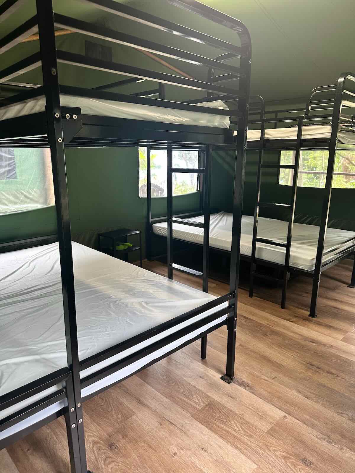 Bunks in the refurbished Safari Tents at Binna Burra Lodge Campsite