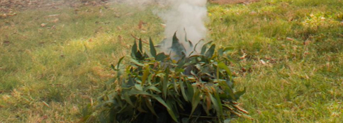 Smoking ceremony at Binna Burra