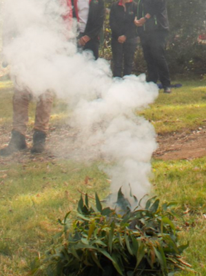 Smoking ceremony at Binna Burra
