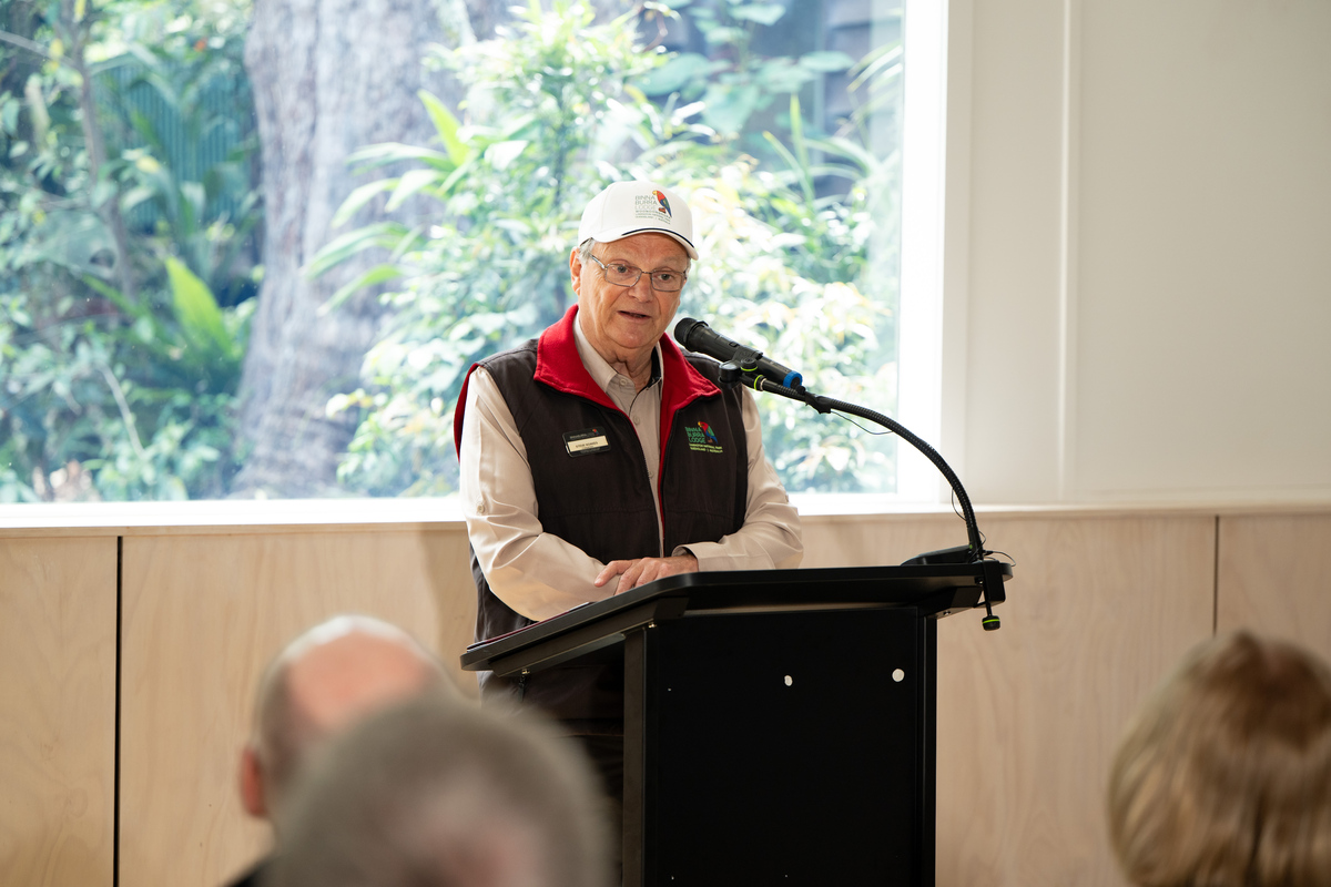Binna Burra Chair, Steve Noakes